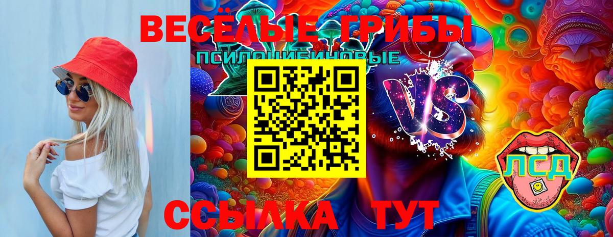 Галлюциногенные грибы ЛСД Междуреченск